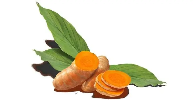 কাঁচা হলুদের অজানা গুণাবলী